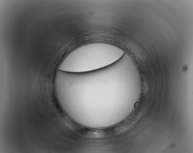 X0000103230506200808280953
