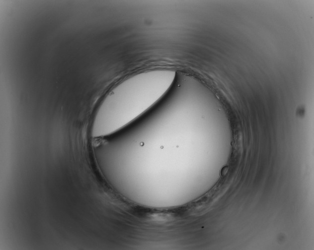 X0000103230508200808280953