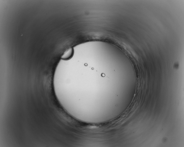 X0000103230509200808280953