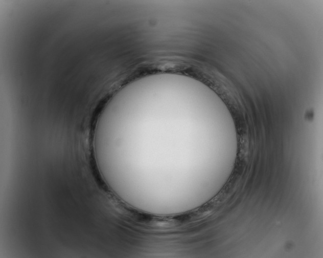 X0000103230510200808280953