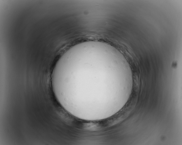 X0000103230511200808280953