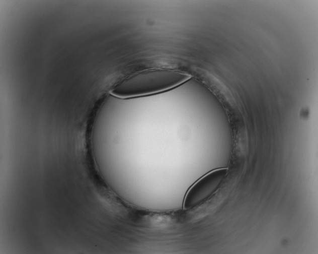 X0000103230512200808280953