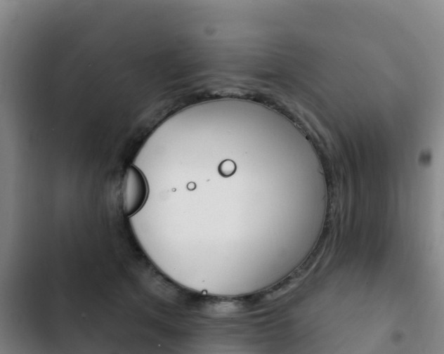 X0000103230513200808280953