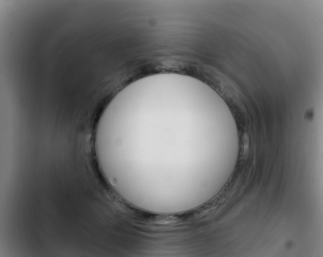 X0000103230514200808280953