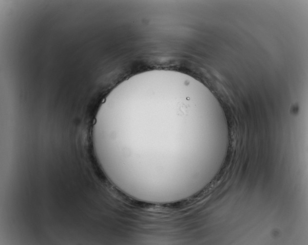 X0000103230515200808280953