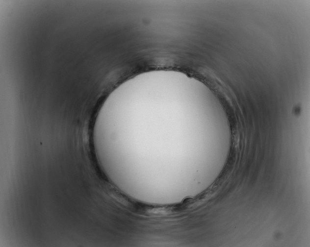 X0000103230516200808280953