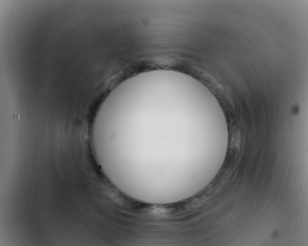 X0000103230518200808280953