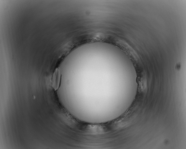 X0000103230520200808280953