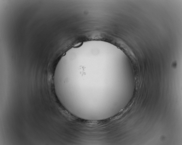 X0000103230521200808280953