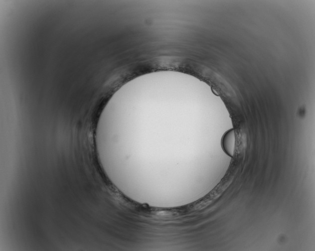 X0000103230522200808280953