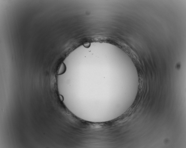 X0000103230523200808280953