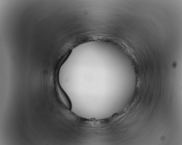 X0000103230524200808280953