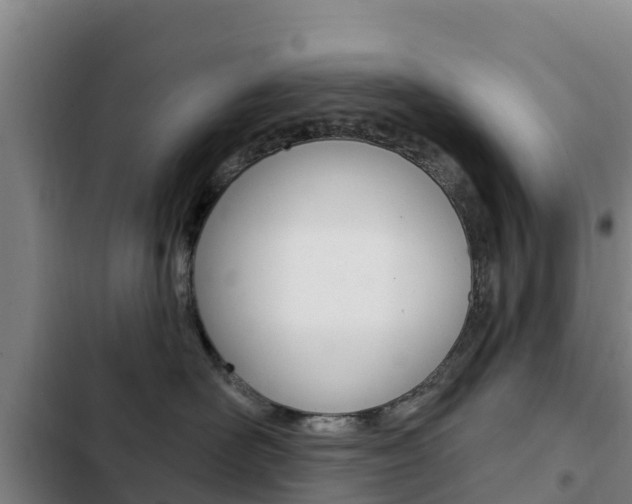 X0000103230526200808280953