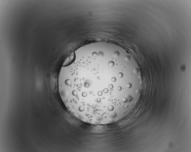 X0000103230527200808280953