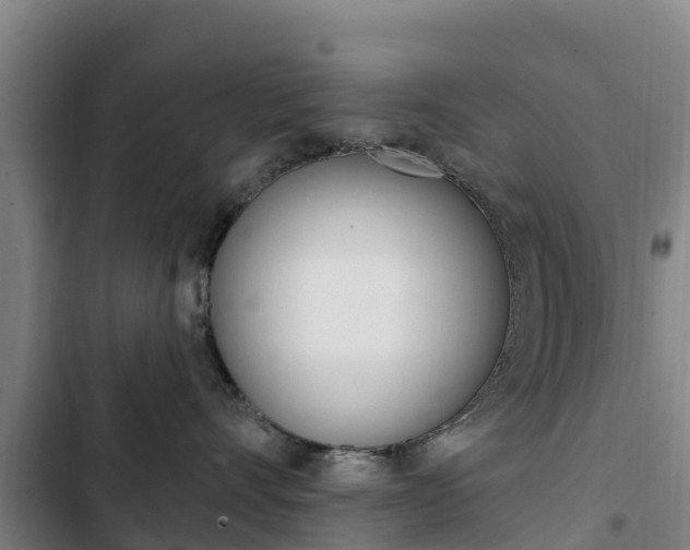X0000103230528200808280953