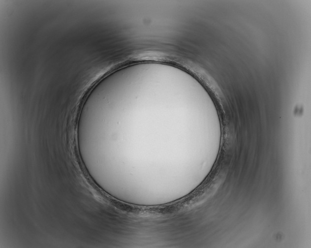 X0000103230529200808280952