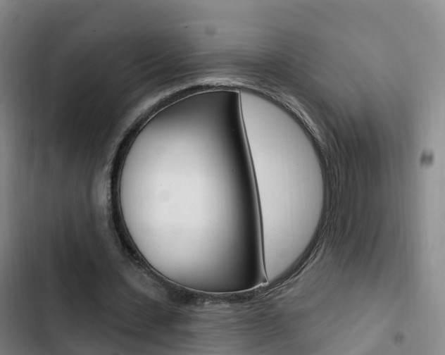 X0000103230531200808280952