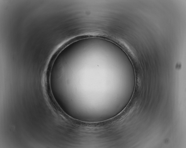X0000103230532200808280952