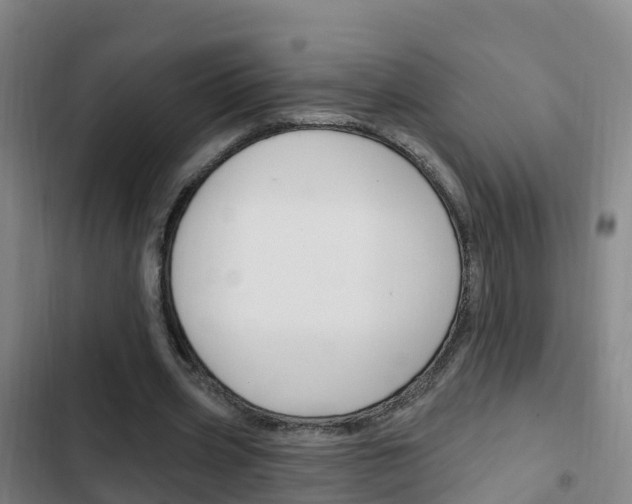 X0000103230533200808280952