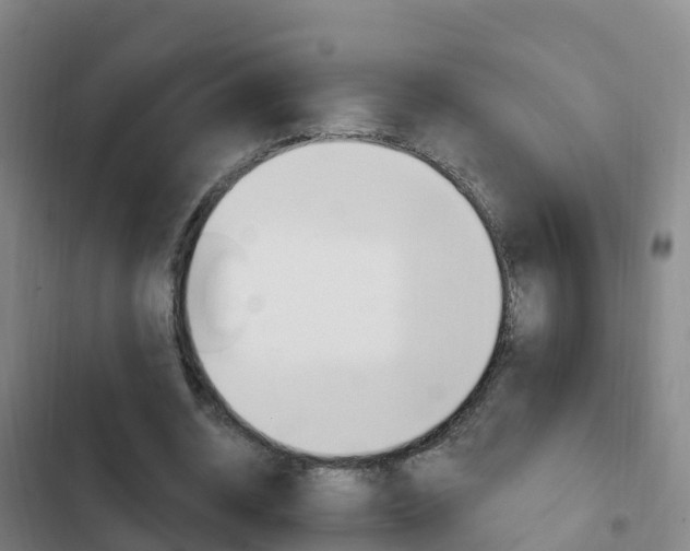 X0000103230534200808280952