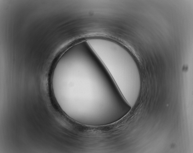 X0000103230535200808280952