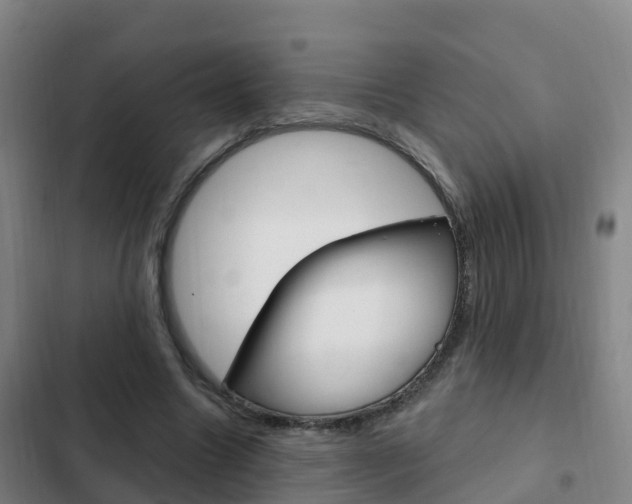 X0000103230538200808280952
