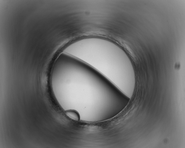 X0000103230539200808280952