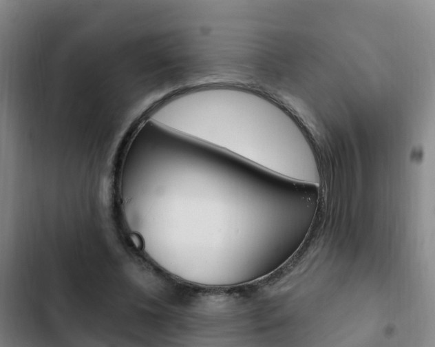 X0000103230540200808280952