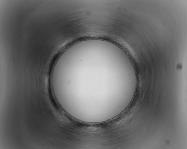 X0000103230542200808280952