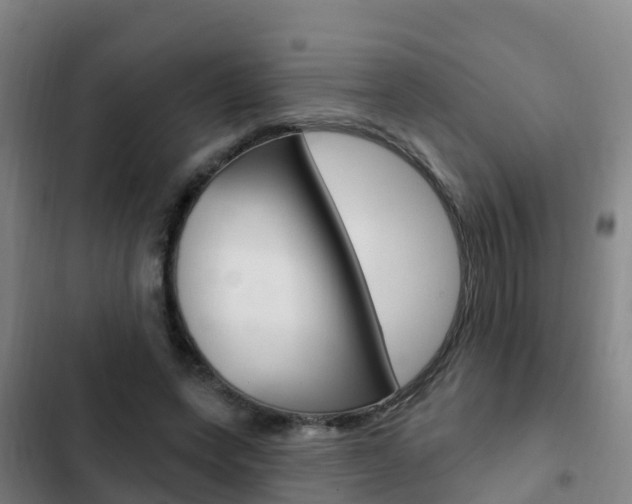 X0000103230543200808280952
