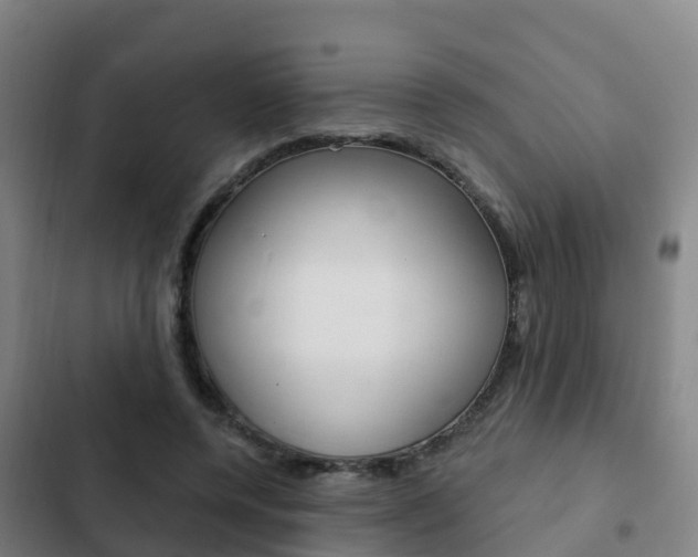 X0000103230544200808280952