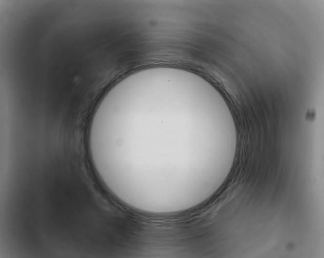 X0000103230546200808280952