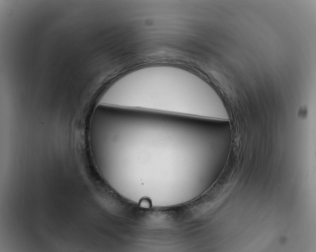 X0000103230547200808280952