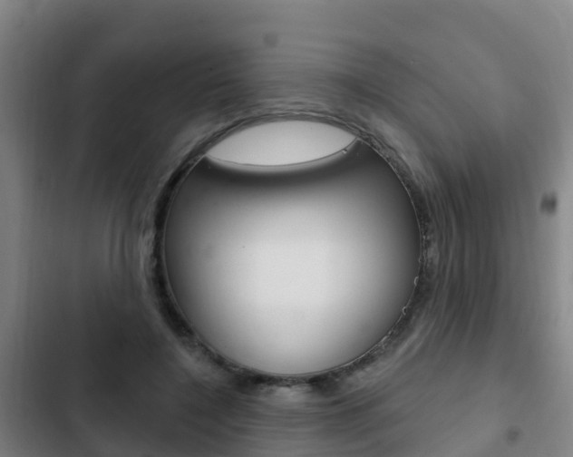 X0000103230548200808280953