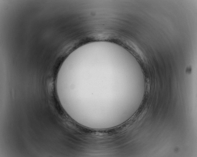 X0000103230549200808280953