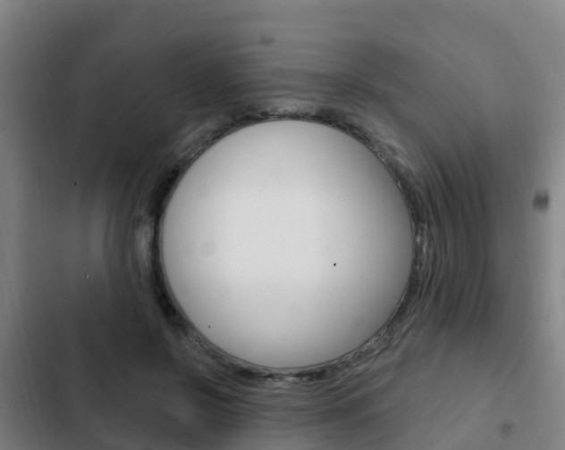 X0000103230550200808280953
