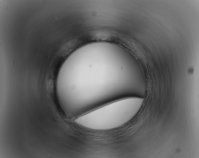 X0000103230551200808280953