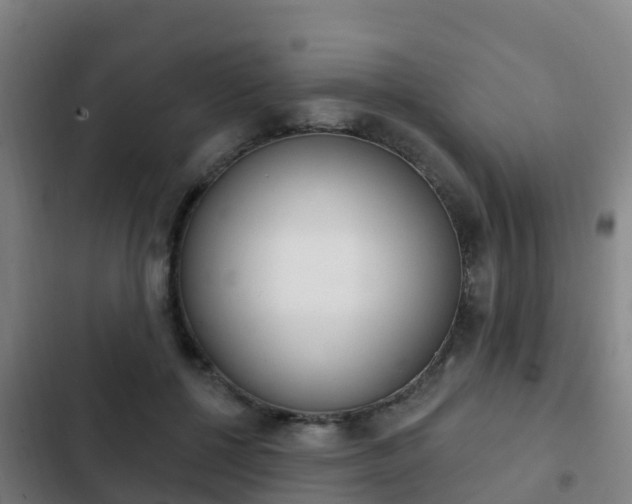 X0000103230552200808280953