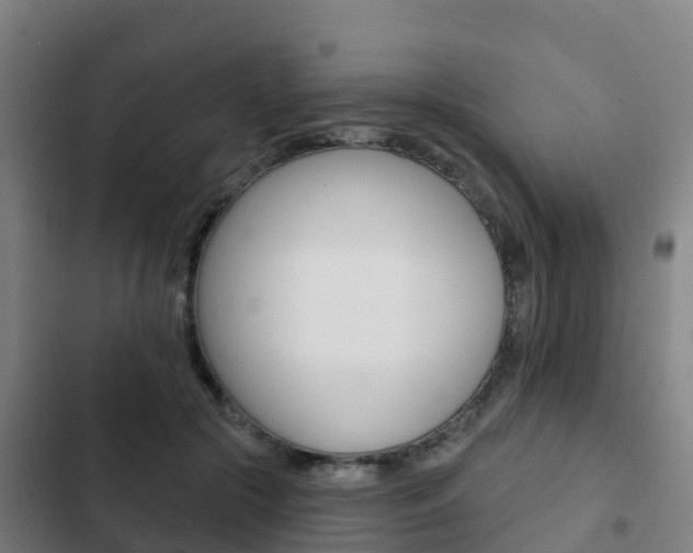 X0000103230553200808280953