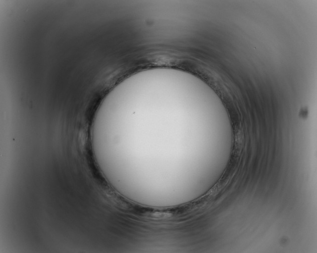 X0000103230554200808280953