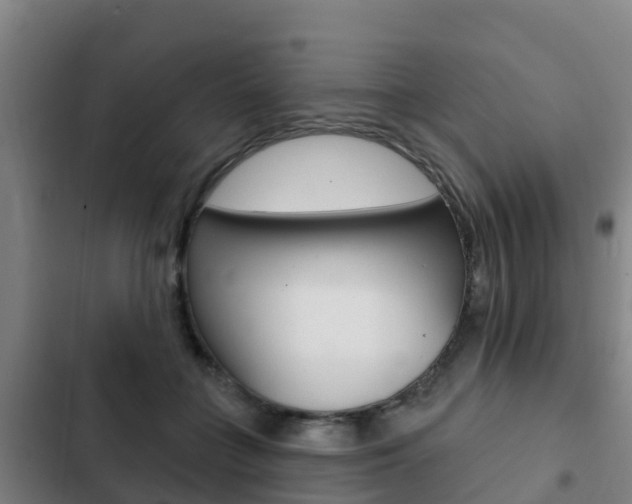 X0000103230555200808280953