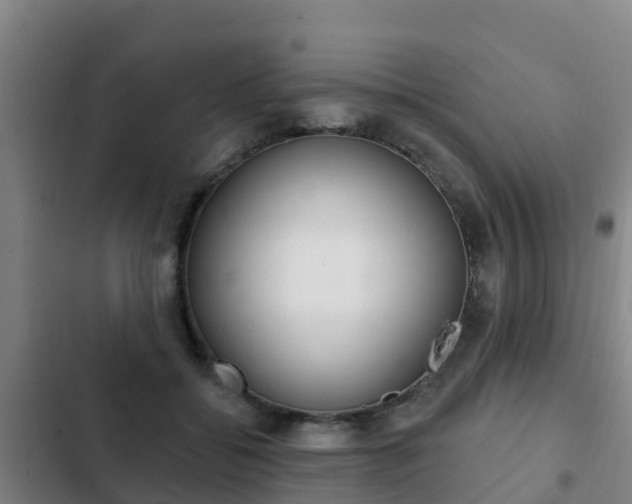 X0000103230556200808280953