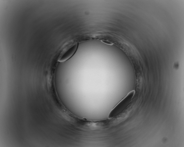 X0000103230558200808280953