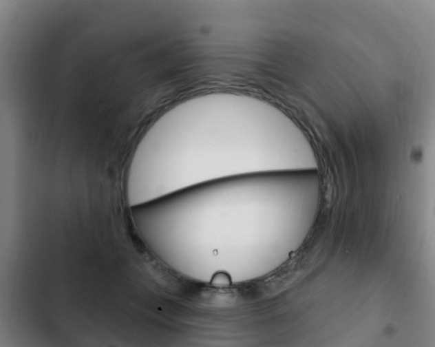 X0000103230559200808280953