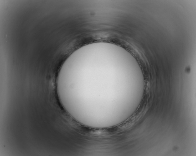 X0000103230561200808280953