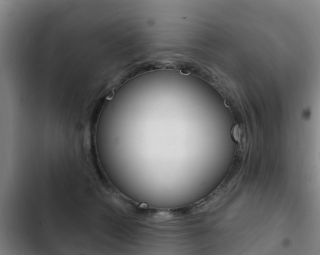 X0000103230562200808280953