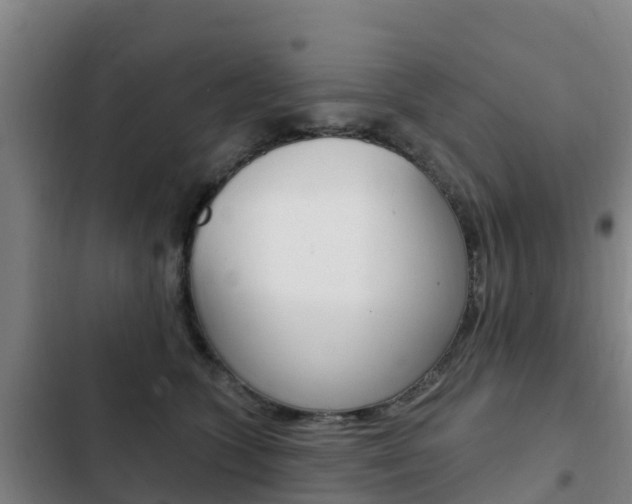 X0000103230563200808280953