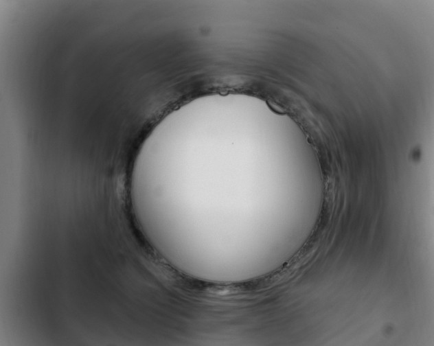 X0000103230564200808280953