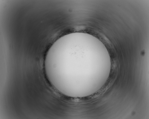 X0000103230565200808280953