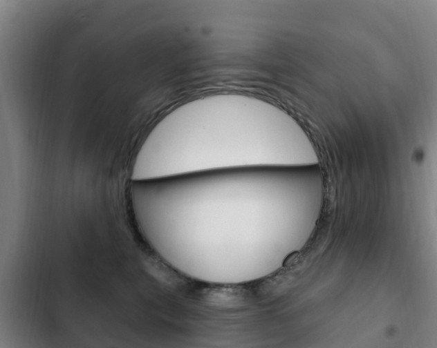 X0000103230567200808280953